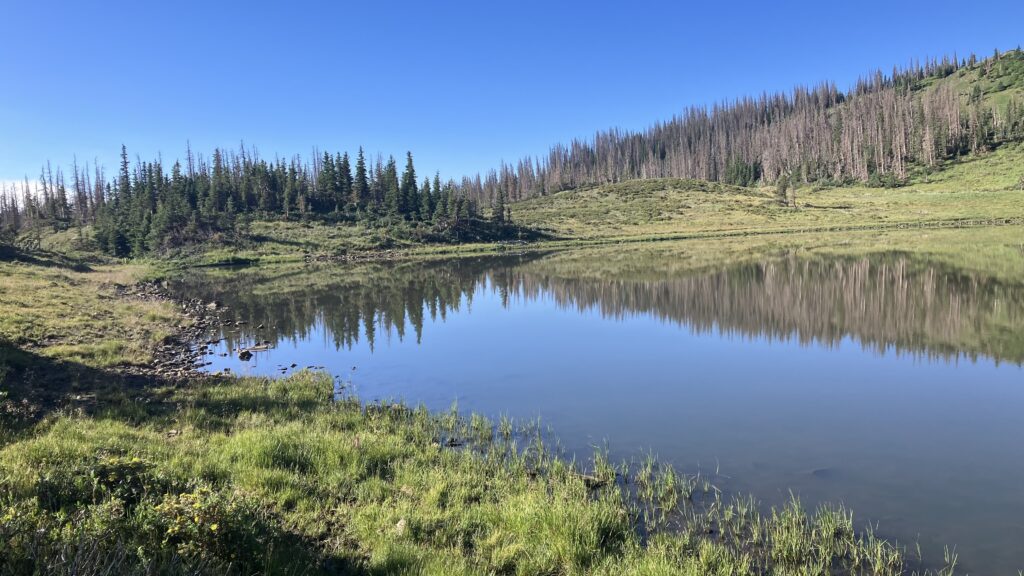 What I’m Looking Forward To